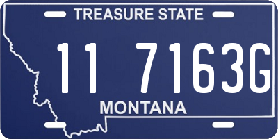 MT license plate 117163G