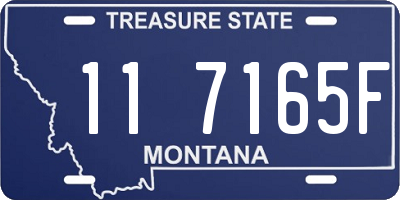 MT license plate 117165F