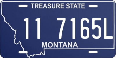 MT license plate 117165L