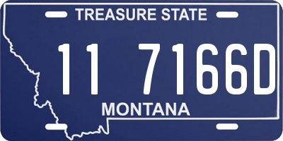 MT license plate 117166D