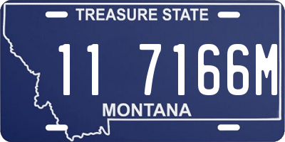 MT license plate 117166M