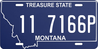 MT license plate 117166P
