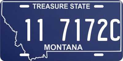 MT license plate 117172C