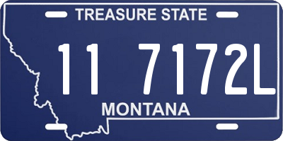 MT license plate 117172L