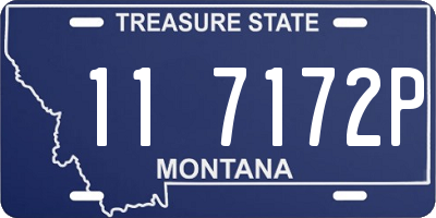 MT license plate 117172P