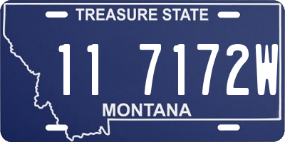 MT license plate 117172W