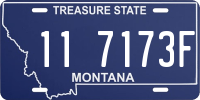 MT license plate 117173F