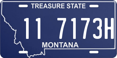 MT license plate 117173H