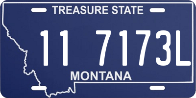 MT license plate 117173L