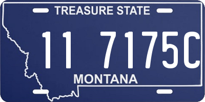 MT license plate 117175C