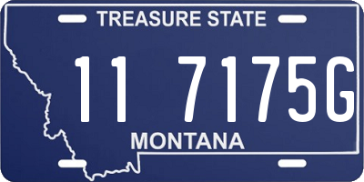 MT license plate 117175G