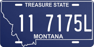 MT license plate 117175L