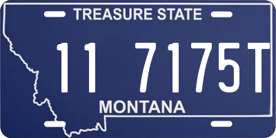 MT license plate 117175T