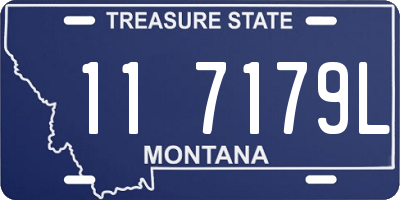 MT license plate 117179L