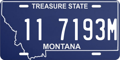 MT license plate 117193M