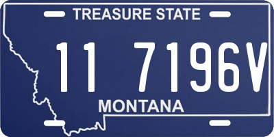 MT license plate 117196V