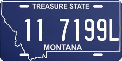 MT license plate 117199L