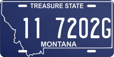 MT license plate 117202G