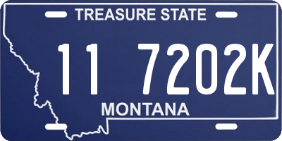 MT license plate 117202K