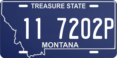 MT license plate 117202P