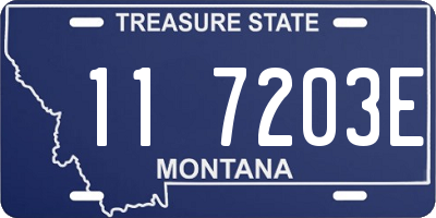 MT license plate 117203E