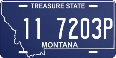 MT license plate 117203P