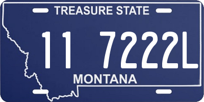 MT license plate 117222L