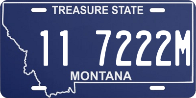 MT license plate 117222M
