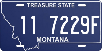 MT license plate 117229F