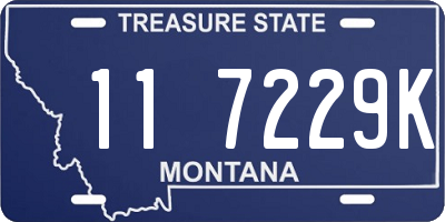 MT license plate 117229K
