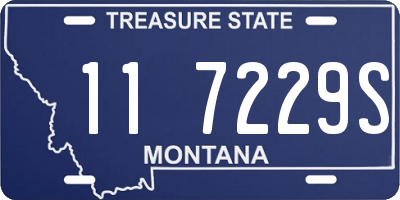 MT license plate 117229S