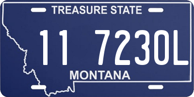 MT license plate 117230L