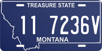 MT license plate 117236V