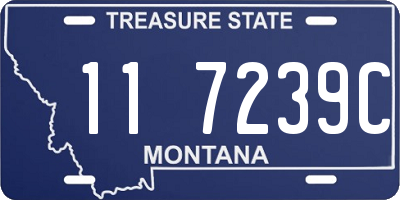MT license plate 117239C