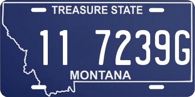 MT license plate 117239G