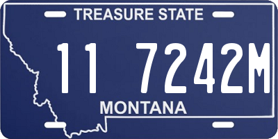 MT license plate 117242M