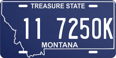 MT license plate 117250K