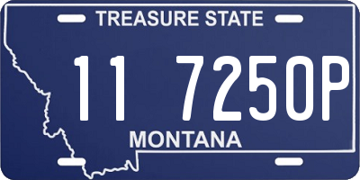 MT license plate 117250P