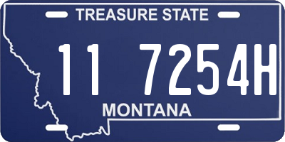 MT license plate 117254H