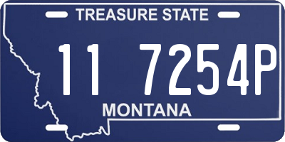 MT license plate 117254P