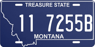 MT license plate 117255B