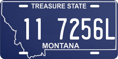 MT license plate 117256L