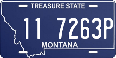MT license plate 117263P