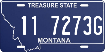 MT license plate 117273G