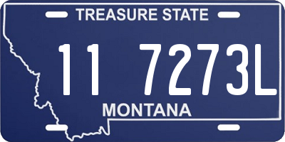 MT license plate 117273L