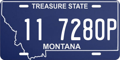 MT license plate 117280P