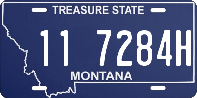 MT license plate 117284H