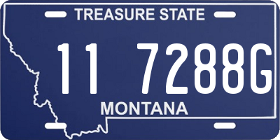MT license plate 117288G