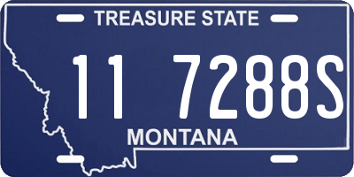 MT license plate 117288S