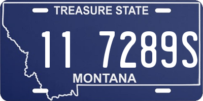 MT license plate 117289S